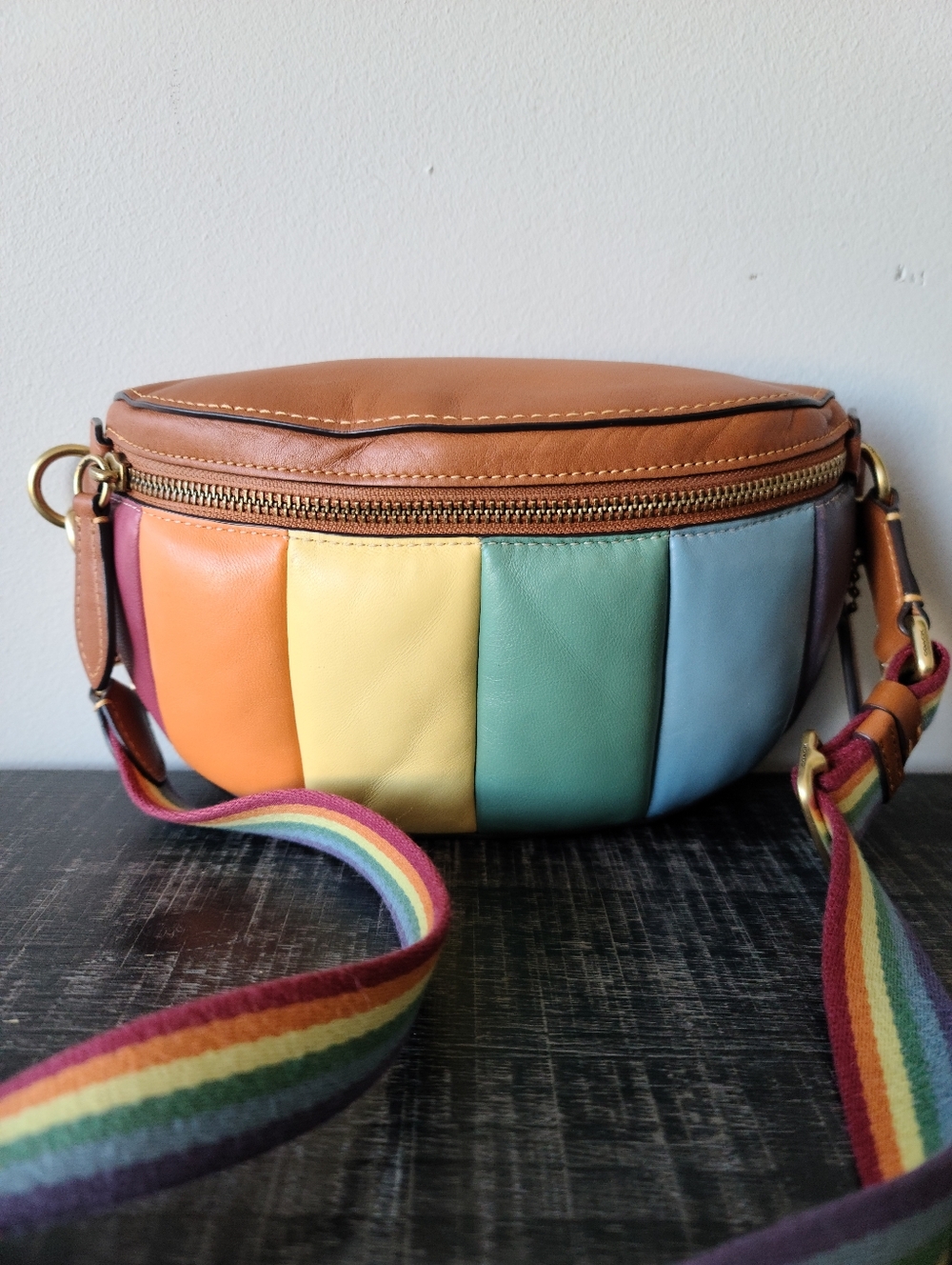 Coach Bethany Glovetanned Leather Rainbow Belt Crossbody Bag #C4714